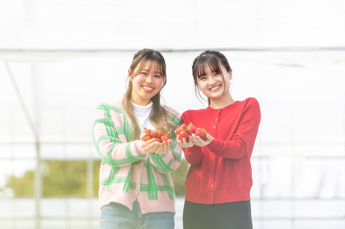 いちご狩り予約受付終了のお知らせ